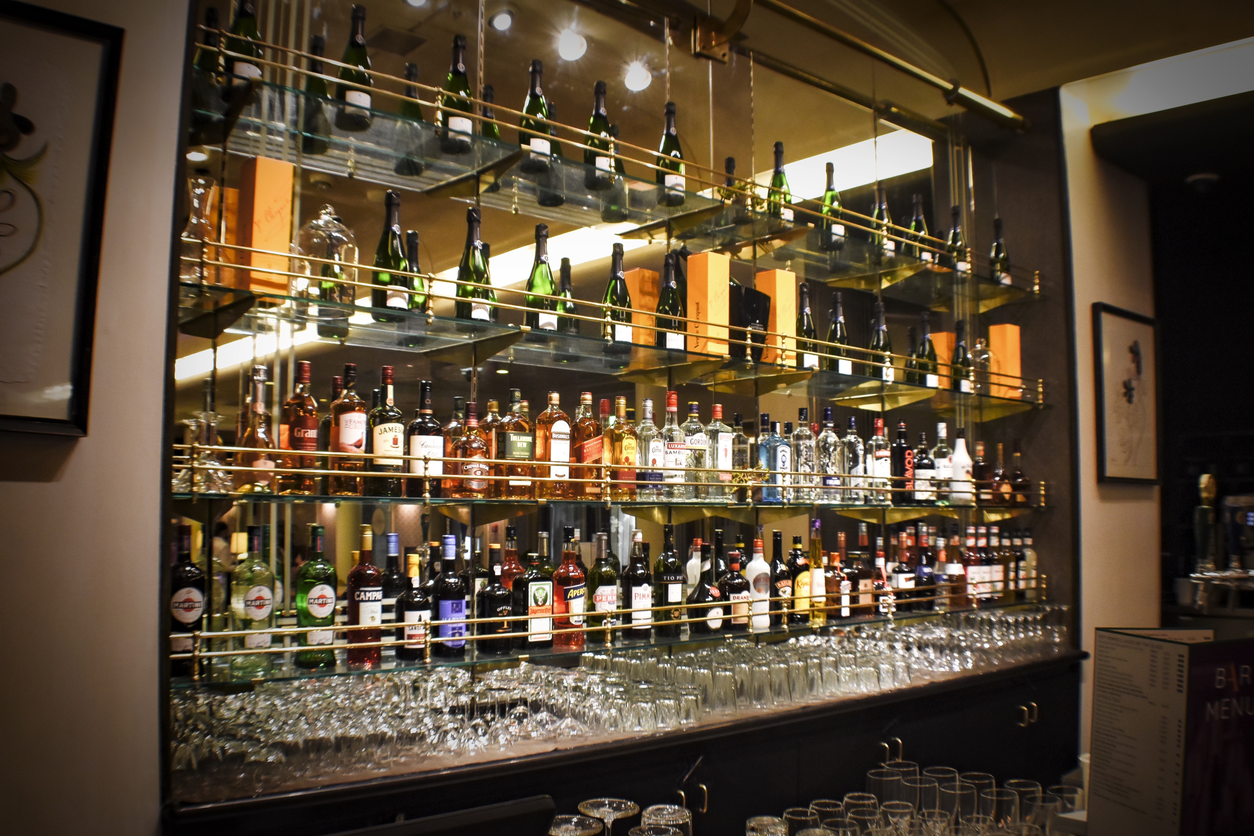 Ambience - Botanical Lounge